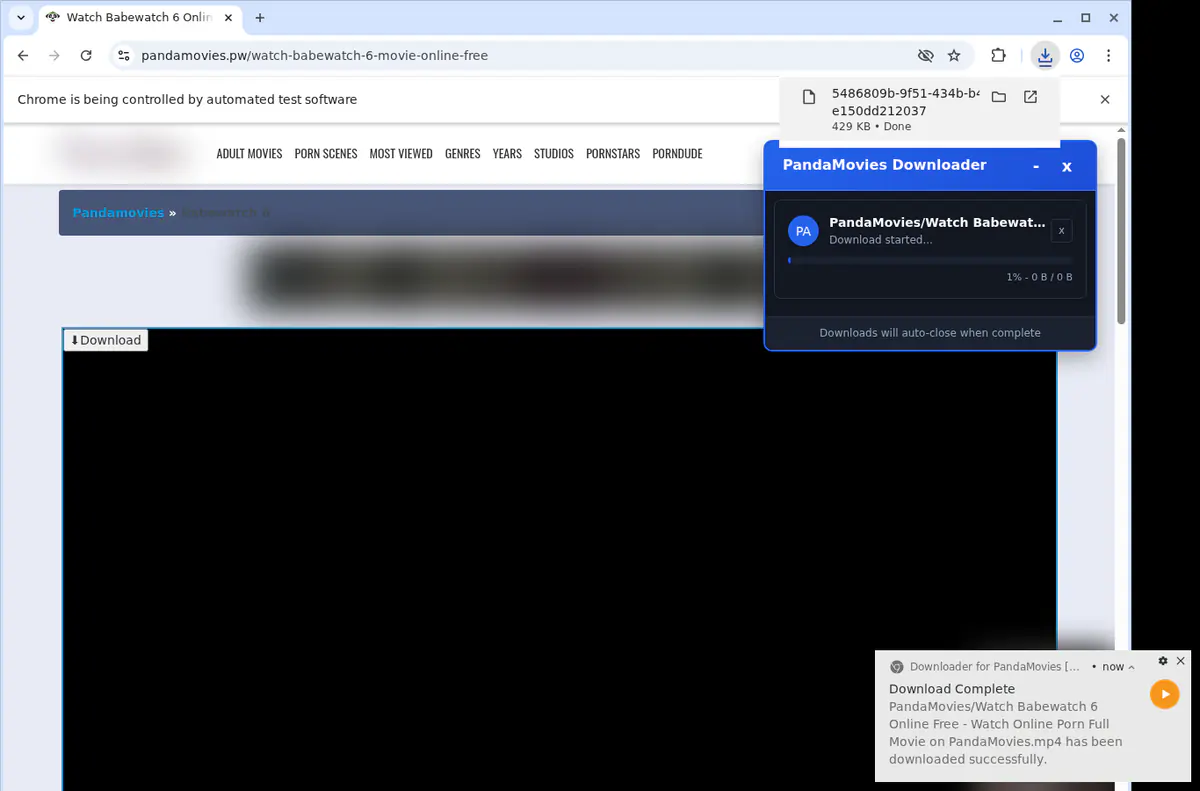 Pandamovies Video Downloader screenshot 2