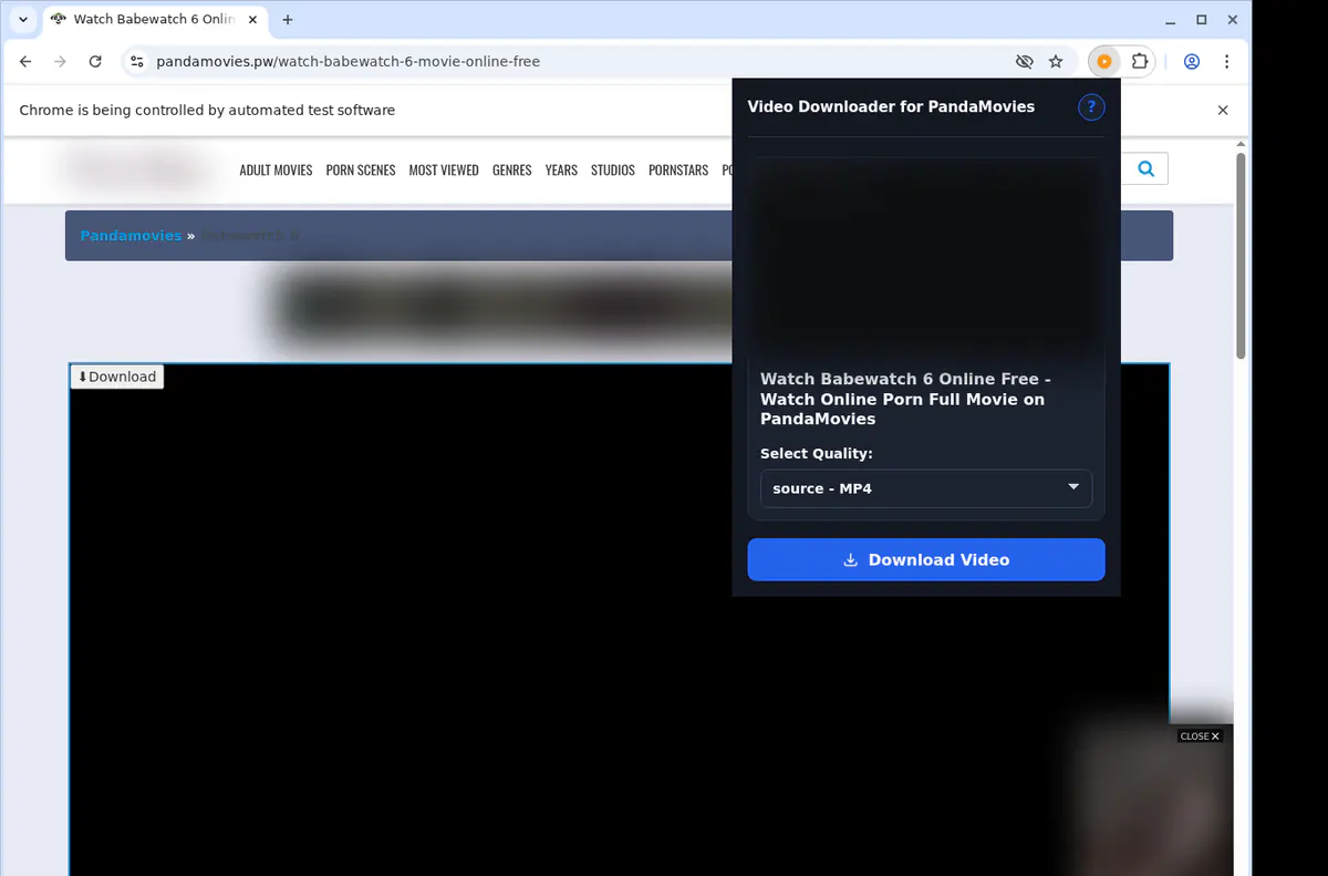 Pandamovies Video Downloader screenshot 3